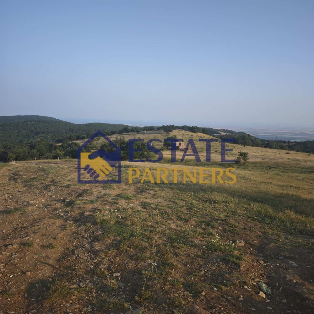 Имот с потенциал в с. Кошарица, м. С.ПЛАЗОВЕЦ – 8 803 кв.м - 0
