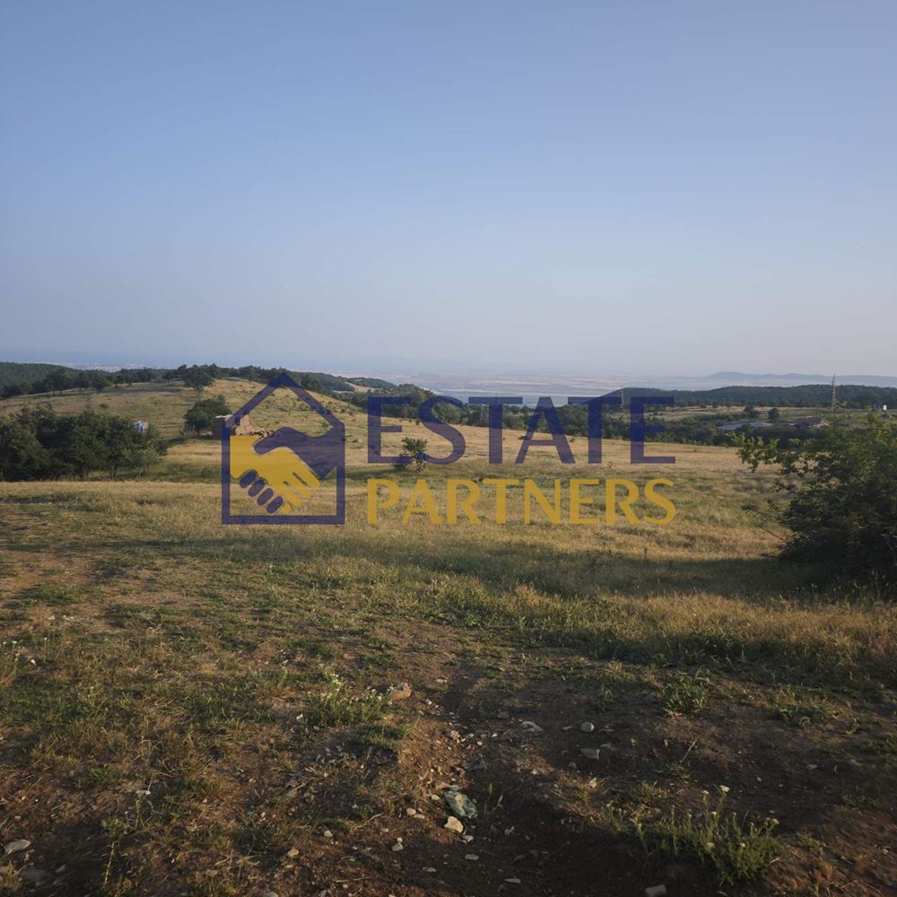 Имот с потенциал в с. Кошарица, м. С.ПЛАЗОВЕЦ – 8 803 кв.м - 0